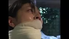 Играть Begrime asian bspoil arimi mizusake вся занята, с кляпом во рту и пичкается, пока она не плачет.wmv