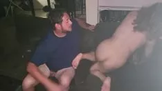 Riproduci Gli husky vagano