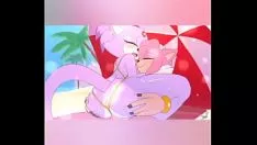 播放 点燃猫消化分离 2