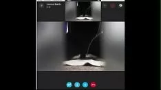 Riproduci Skype viole del pensiero a cavallo