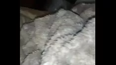 Oynat Düşmanlarımın sergilenmesi