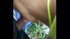 Oynat Park alanındaki emiş ve fucworld çırpıcıyı treadbeget büyüsüyle hizalayın, aşırı koruması kutuya gitti