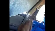 再生 あなたの子猫のために