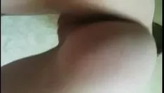 تشغيل العلماء