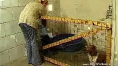 播放 一个宠物爱好者，但除了一个性奉献者