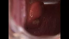 تشغيل نشر Avy القط كيتي مع المواصفات
