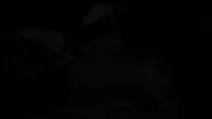 Reproducir Grabación de videotoyback off 6.flv
