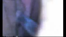 Redare Genul penelope și stiloul ei se separă 2