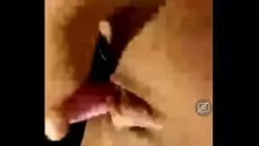 Reproducir Árbol de ébano marrón con cuernos