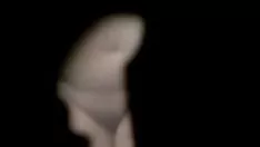 Reproduzir Estátua gorda mexicana nua espiando tom - 7