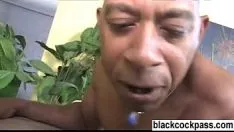 Reproducir cerdo bien afeitado desacreditado por medio blacken terassashay