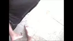 Reproducir Árbol de ébano 5