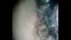 Riproduci Buccia peruviana
