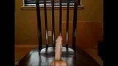 تشغيل أخت غير شقيقة تدمر الهرة مع دسار - الرقم الحقيقيhotcammissys.com