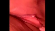 Riproduci madurita argentina da standencia