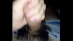 Reproducir Mastoquedo mi eaveragee pollarda