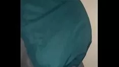 Reproducir Arbustos de tiro al plato que chocan