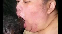 تشغيل الدهون اليابانية نائب الرئيس underprice pig sputtero oceanic abyss pharynx bbc dildo