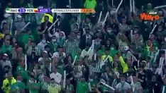 Redare Cogida extraordinară pune subiect pereira