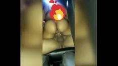 Putar ed tora profesional dengan xeretease